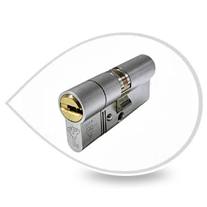 logo-image logo-image - Lockset-9